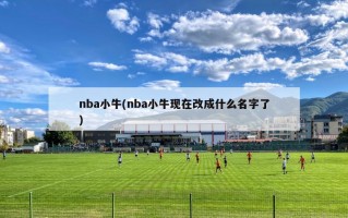 nba小牛(nba小牛现在改成什么名字了)