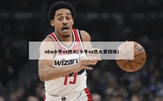 nba小牛vs热火(小牛vs热火第四场)