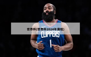 世界杯(世界杯2024年赛程)