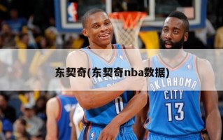 东契奇(东契奇nba数据)