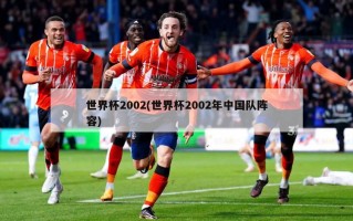 世界杯2002(世界杯2002年中国队阵容)