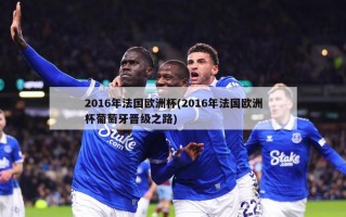 2016年法国欧洲杯(2016年法国欧洲杯葡萄牙晋级之路)