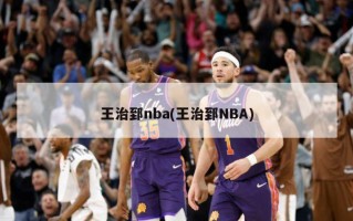 王治郅nba(王治郅NBA)